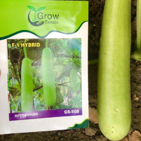 F1 Bottle Gourd : GS-506 (Gutka Type)