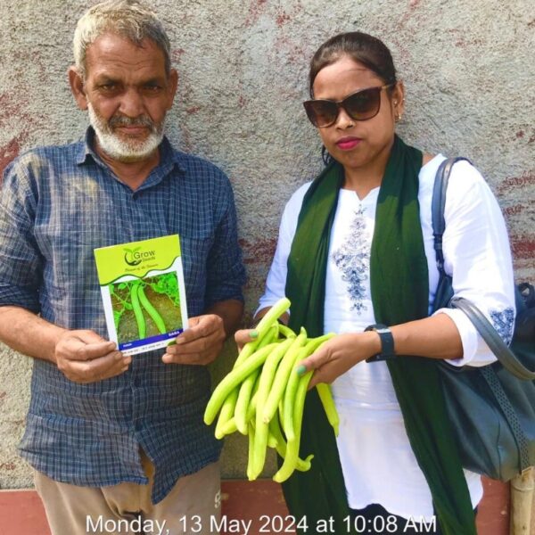 Long Melon (Kakri)