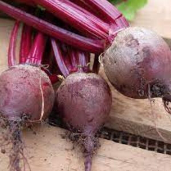 Beetroot